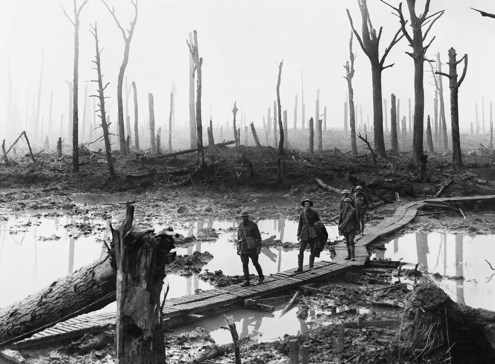 Australische Soldaten auf einem Knüppeldamm durch den zerschossenen Chateau Wood bei Ypern, Oktober 1917